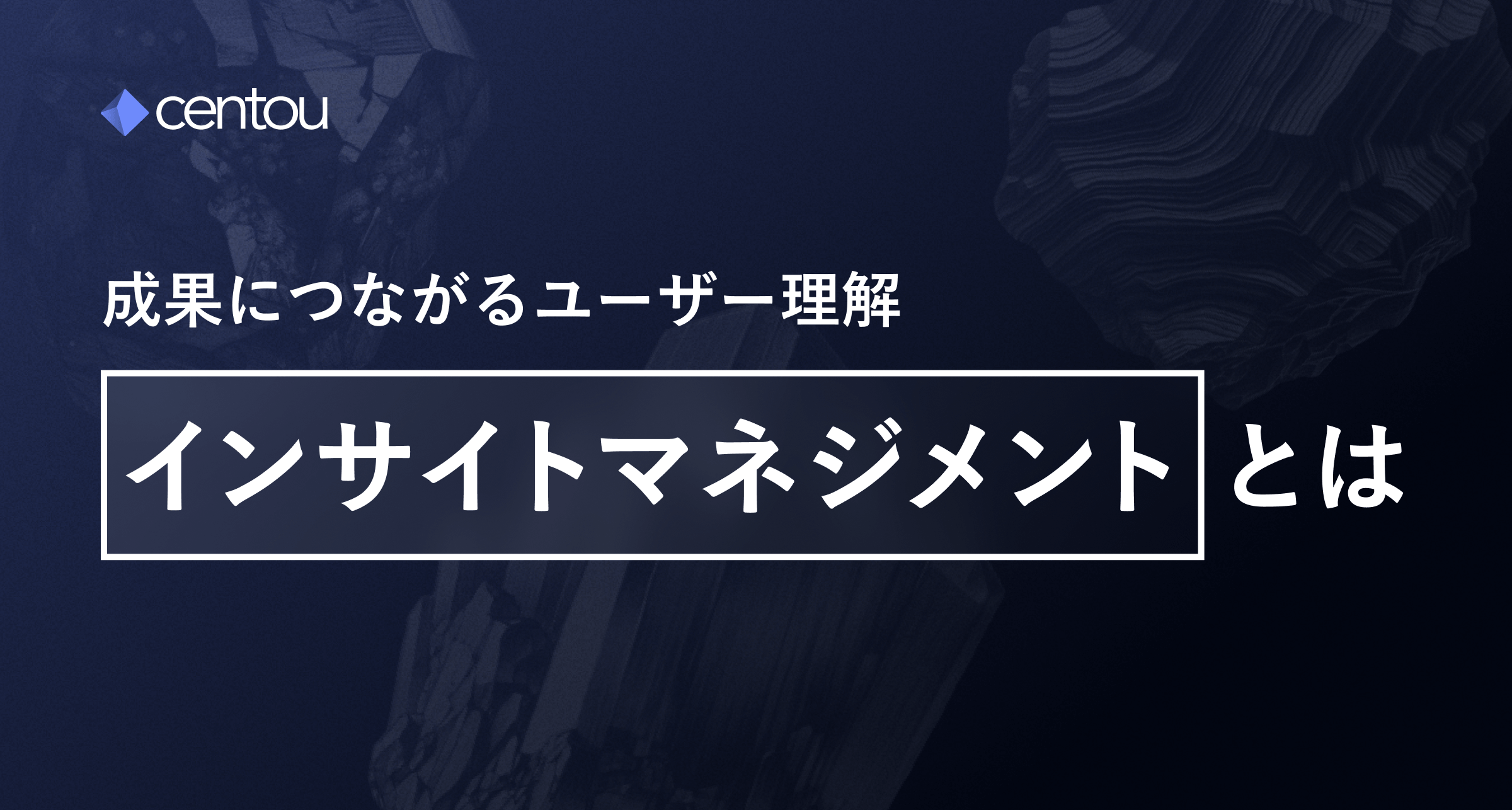 インサイトマネジメントの全体像をつかむ